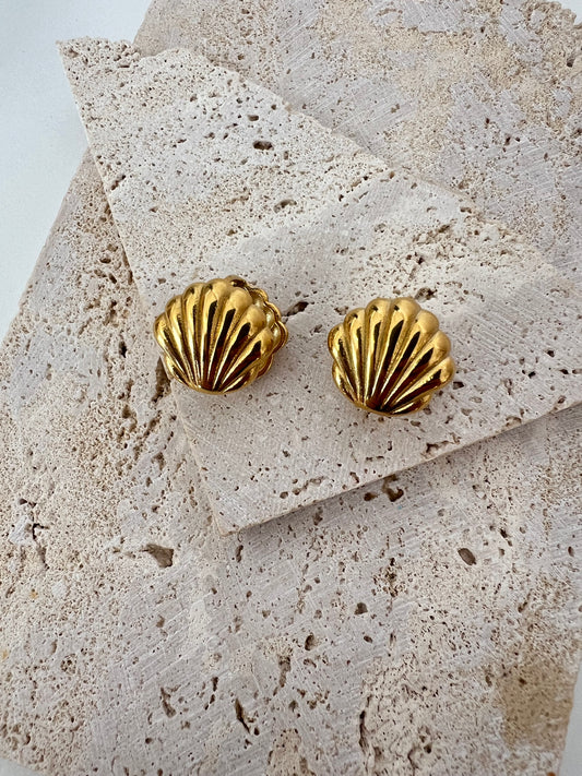Seashell